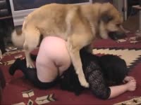 Busty fat whore having dog sex with brown dog